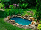 pond drum filter