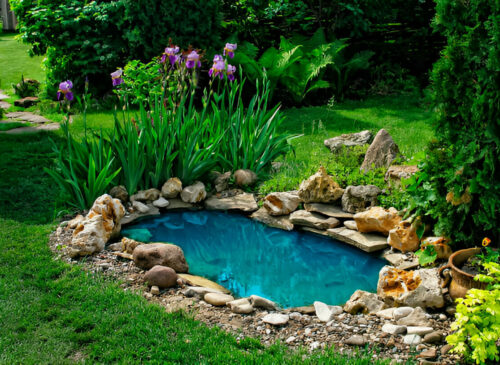 pond drum filter