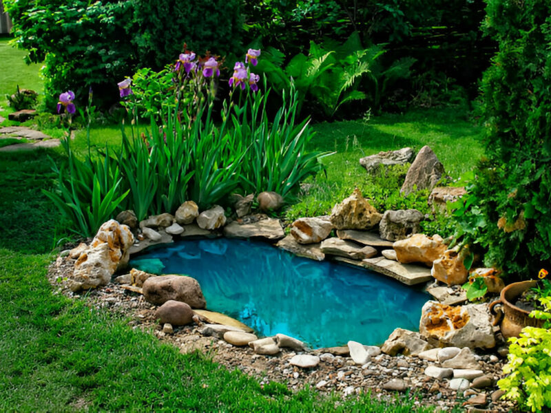 pond drum filter