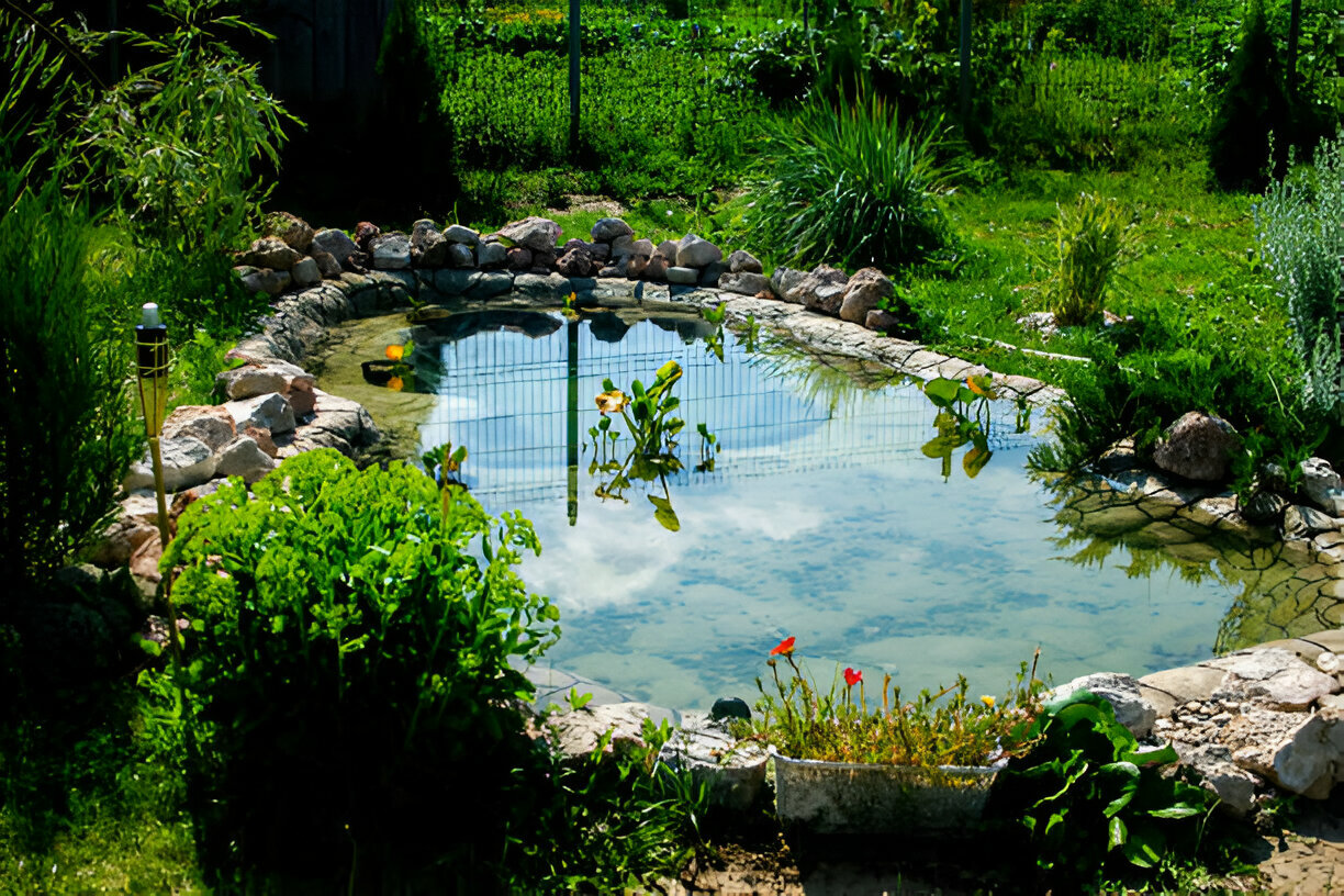 pond drum filter