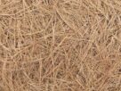 Spreading Pine Straw