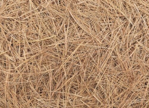 Spreading Pine Straw