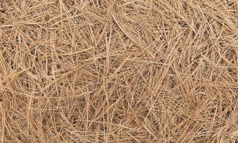 Spreading Pine Straw